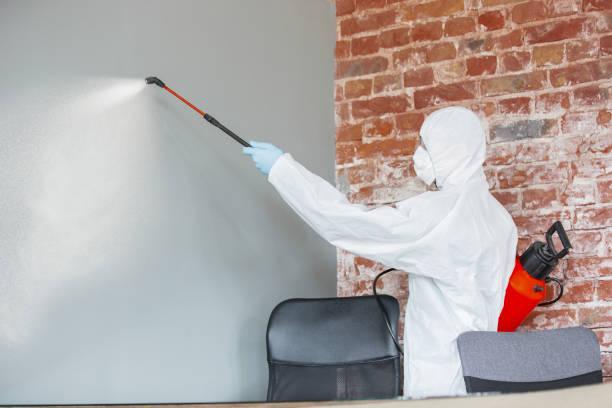 Best Real Estate Mold Inspection  in Lyons, CO