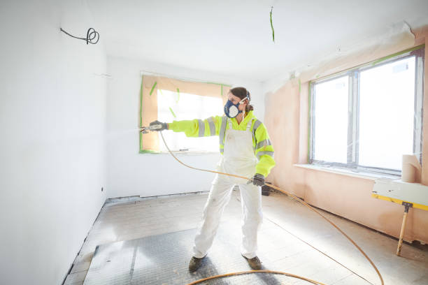 Best Water Damage & Mold Remediation  in Lyons, CO