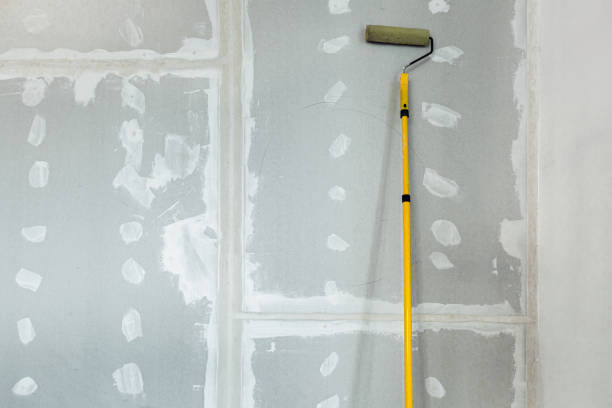 Best Black Mold Removal  in Lyons, CO