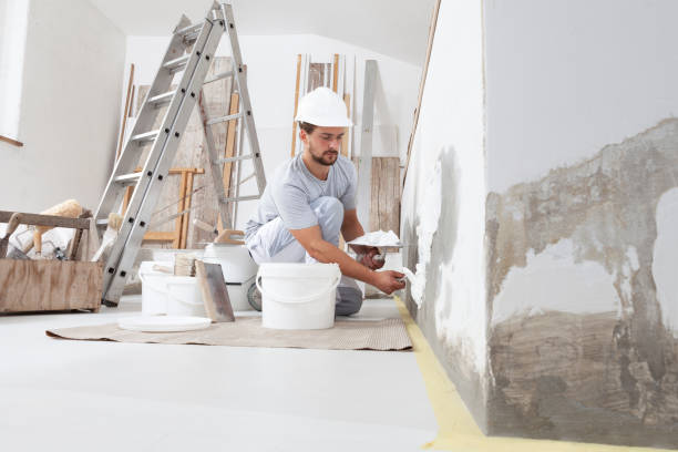 Best Mold Prevention Services  in Lyons, CO
