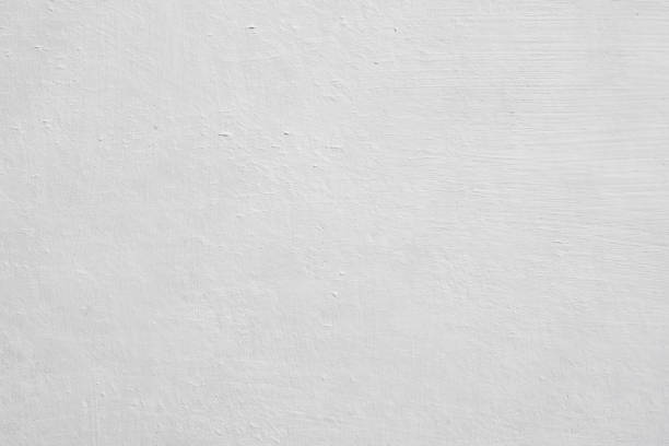 Mold Odor Removal Services in Lyons, CO