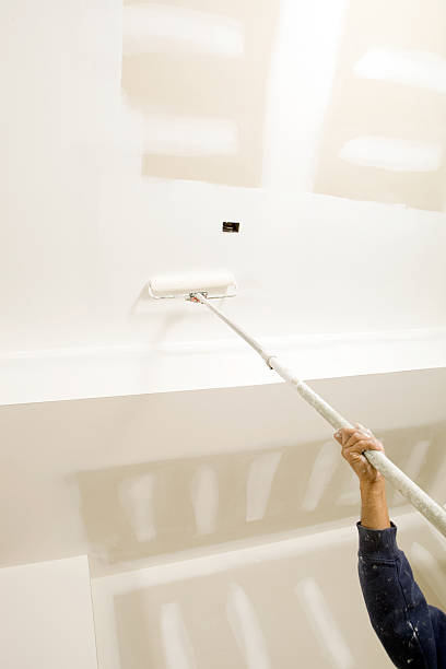 Best HVAC Mold Inspection and Cleaning  in Lyons, CO
