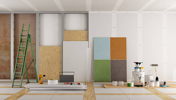Best Mold Damage Restoration  in Lyons, CO