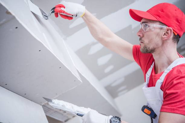 Best Mold Documentation for Insurance Claims  in Lyons, CO